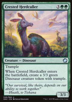 Crested Herdcaller